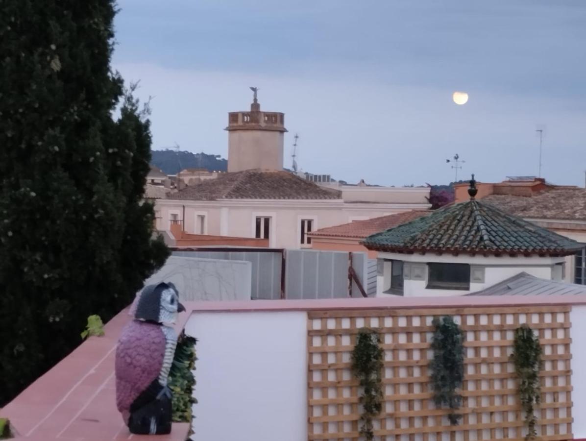 Apartaments L'Arc Palafrugell Dış mekan fotoğraf
